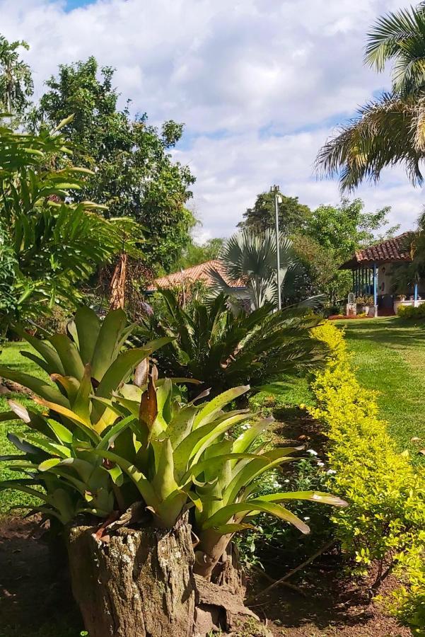 Hotel Balsora Boutique