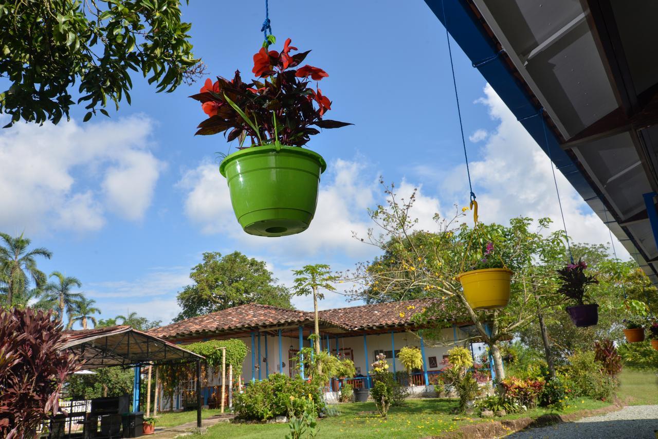 Balsora Boutique 3*